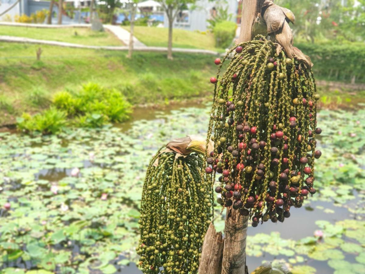 Le Palais Juliana Otel Luang Prabang Dış mekan fotoğraf